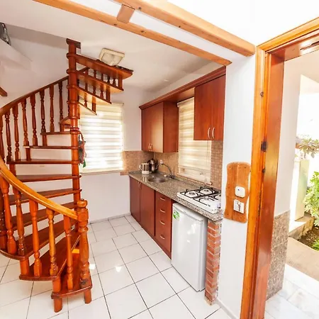 Gardenia Дальян