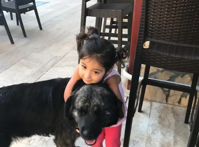 Gardenia * 达利安